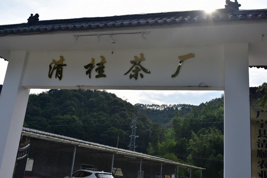 广东农工商职院 “农墨种彩” 突击队三下乡：探访清桂茶厂，感悟乡村振兴