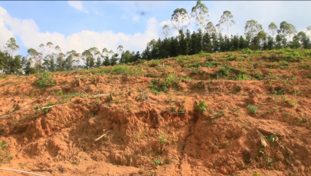 农工商职院学子 “百千万工程” 实践活动助力洲仔镇务水村生态种植